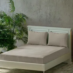 Trance Home Linen Brown Pure Cotton 300 TC Queen Size Fitted Bedsheet Set 1.90 m x 1.82 m-image-36