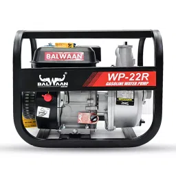 Balwaan 7 HP Water Pump, WP-22R-image-46