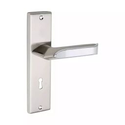 DiSS MH-Monarch 2.5 Inch Brass SS Finish Door Handle Set-image-92
