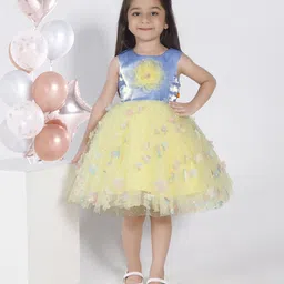 Ministitch Kids Girls Embellished Round Neck Applique Net Fit & Flare Dress-image-51