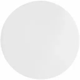 Whatman Filter Paper GF 6 47 mm 10370019-30