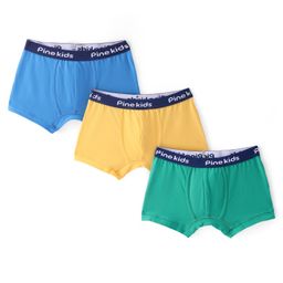 Pine Kids Cotton Spandex Knit Solid Colour Trunks Pack of 3  (Colour May Vary)-image-19