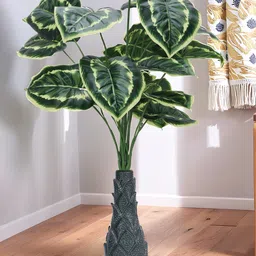 Foliyaj 18 Leaf Money Plant3 with Floor Green Base-picture-22