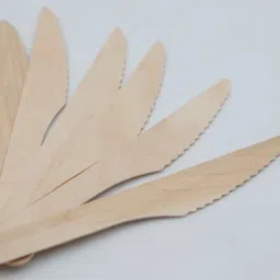 Disposable Wooden Knife Eco-Friendly Knife- Beige, Pack of 100 Wooden Table Knife Set-image-83