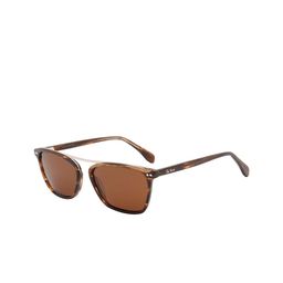 Ted Smith Unisex Wayfarer Sunglasses with Polarised and UV Protected Lens image 3