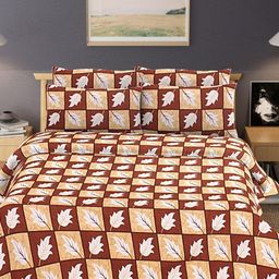 Aura Brown & Yellow Floral Cotton 300 TC Double Queen Bedsheet Set-2.40 m x 2.25 m-image-58