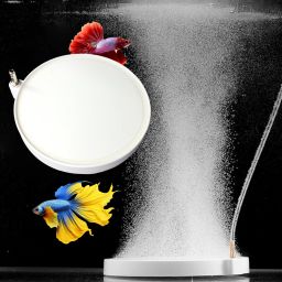 Round Air Stone Disc Bubble Diffuser for Fish Tank/Hydroponics/Biofloc 4" | N100 Aquarium Air Stone-image-73