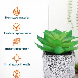 Kuber Industries Green & Grey Succulent Artificial Plant With Pot image 2