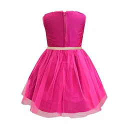 a.t.u.n. A T U N Fuchsia Embellished Net Dress image 3