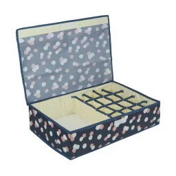 NFI Essentials 16+1 Compartment Foldable Storage Box for Bra, Panty, Socks, Hanky, Ties-picture-15