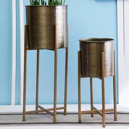 aapno rajasthan Brown Iron Planter-picture-32