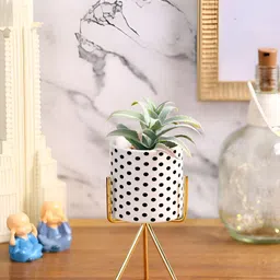 EarthCraft Green & Gold Toned Succulent Artificial Plant With Pot & Metal Tripod-4