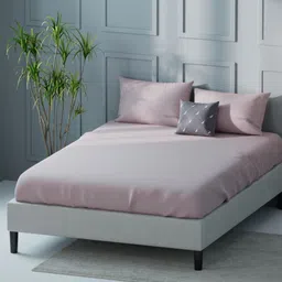 Nautica compass-400 Rose Pure Cotton 400 TC King Bedsheet Set 2.74 m X 2.74 m-image-60