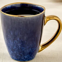 Home Centre Blue & Gold-Toned Printed Stoneware Glossy Mug-image-57