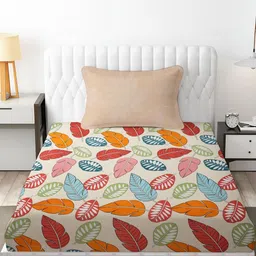 IVAZA Cream Pure Cotton 500 TC Bedsheets-image-10