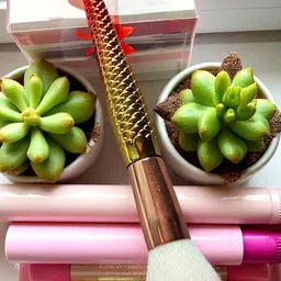 CHRONEX Soft & Sleek Premium Face Brush-45