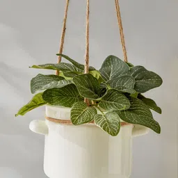 Home Centre Gloria White Ceramic Hanging Flower Planter-11