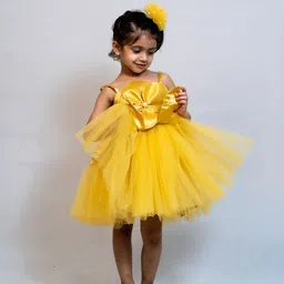 Modish Net Fit & Flare Dress image 3