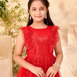 Aarika Self Design Net Maxi Dress image 5