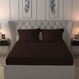 MYTRIDENT Brown Striped 210 TC King Bedsheet with 2 Pillow Covers-picture-12