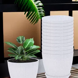 Kuber Industries White 12 Pieces Planters With Tray-43