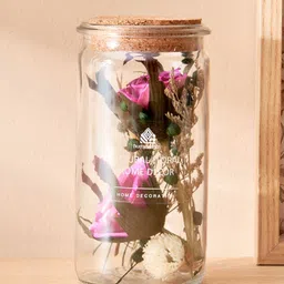 Home Centre Corsica Axel Transparent & Pink Dried Flower Arrangement In Glass Jar-image-50