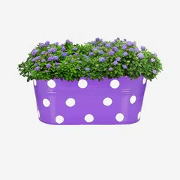Go Hooked 12 Inch Metal Hanging Planter-45