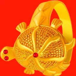 Dynamic Retail Global Unisex Gold Ring-31