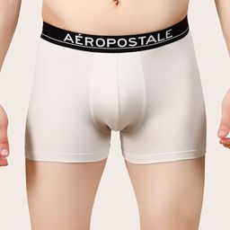 Aeropostale Anti-Bacterial Short Trunk BLTRK01-LGRY-picture-12