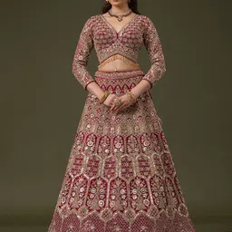 Koskii Embellished Beads and Stones Ready to Wear Lehenga & Blouse With Dupatta-picture-13