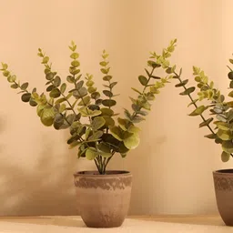 Elemntl Green & Brown 2 Pieces Artificial Potted Eucalyptus Plants With Pot-14