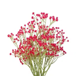 Go Hooked Artificial Flowers Babys Breath-2