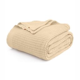 San Marino Beige Cotton AC Room 300 GSM Single Bed Blanket-image-93