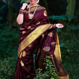 RUNAYA NX Women Woven Design Zari Pure Silk Banarasi Saree-picture-49