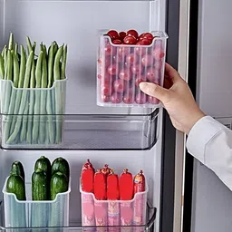 upkaranwale White Refrigerator Side Door Storage Organisers-27