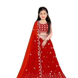 F Plus Fashion Multi Net Lehenga Choli-image-51