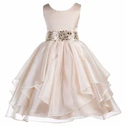 Wow Princess Net A-Line Maxi Dress-picture-43