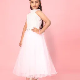 BAESD Net A-Line Dress image 4