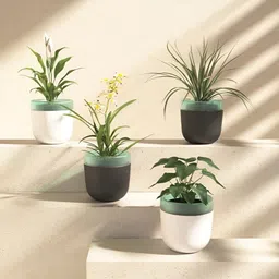 UMAI 4Pcs White & Black Self Watering Planters-25