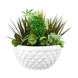 GARDEN'S NEED White Textured Planters-58
