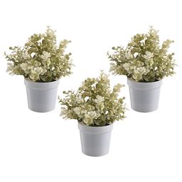 Kuber Industries White 3 Pieces Succulent Artificial Plant With Pot-30