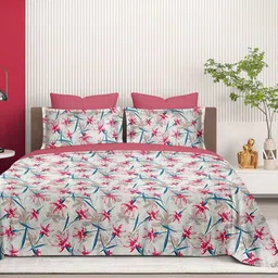 Cortina White & Red Floral Printed 144 TC King Bedsheet Set 2.74m x 2.74m-image-40