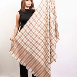 PASHGIRI Women Checked Embroidered Shawl-20