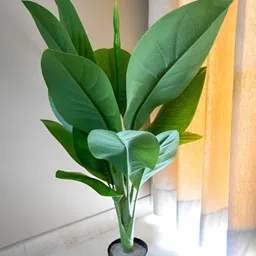 Blooming Floret Green 1 Pieces Artificial Plant With Pot-image-28