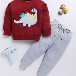 Toonyport Boys Embroidered Pure Cotton Sweatshirt with Joggers-image-27