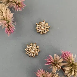 Digital Dress Room Classic Studs Earrings-68