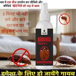 Latest Insect Repellent-image-20
