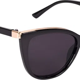 UV Protection Cat-eye Sunglasses (60)-picture-12