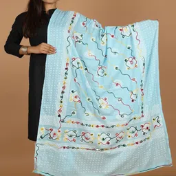 RajeRaj Women Cotton Blend Embroidered Dupatta-picture-31