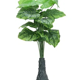 FOLIYAJ Green 1 Pieces Artificial Plant-12